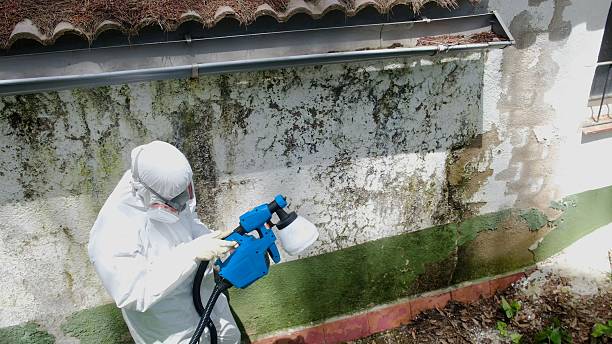 Top rated local Commercial Mold Remediation specialists in Petersburg, PA